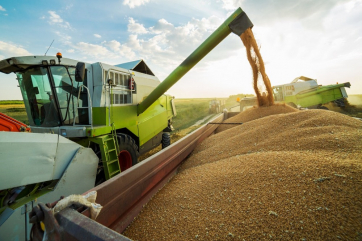 Минсельхоз США заметно повысил оценку урожая пшеницы в России